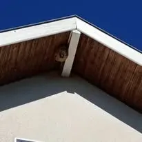 Halte Guêpes 21 (29)webp