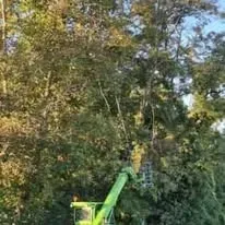 Halte Guêpes 21 (24)webp