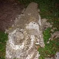 Halte Guêpes 21 (25)webp