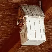 Halte Guêpes 21 (37)webp