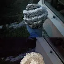 Halte Guêpes 21 (45)webp