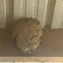 Halte Guêpes 21 (46)webp